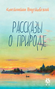 Константин Паустовский Рассказы о природе обложка книги