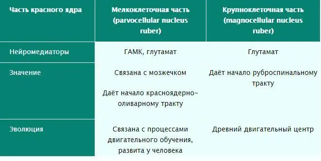 Рис 11 Таблица содержания медиаторов в мелко и крупноклеточной частях - фото 12