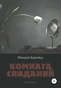 Михаил Бурляш Комната свиданий. Сборник рассказов обложка книги