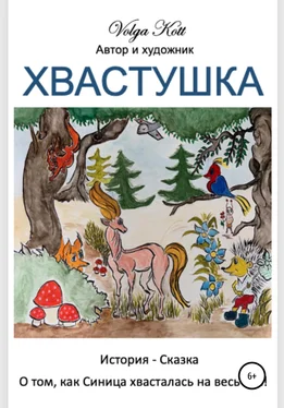 Volga Kott Хвастушка обложка книги