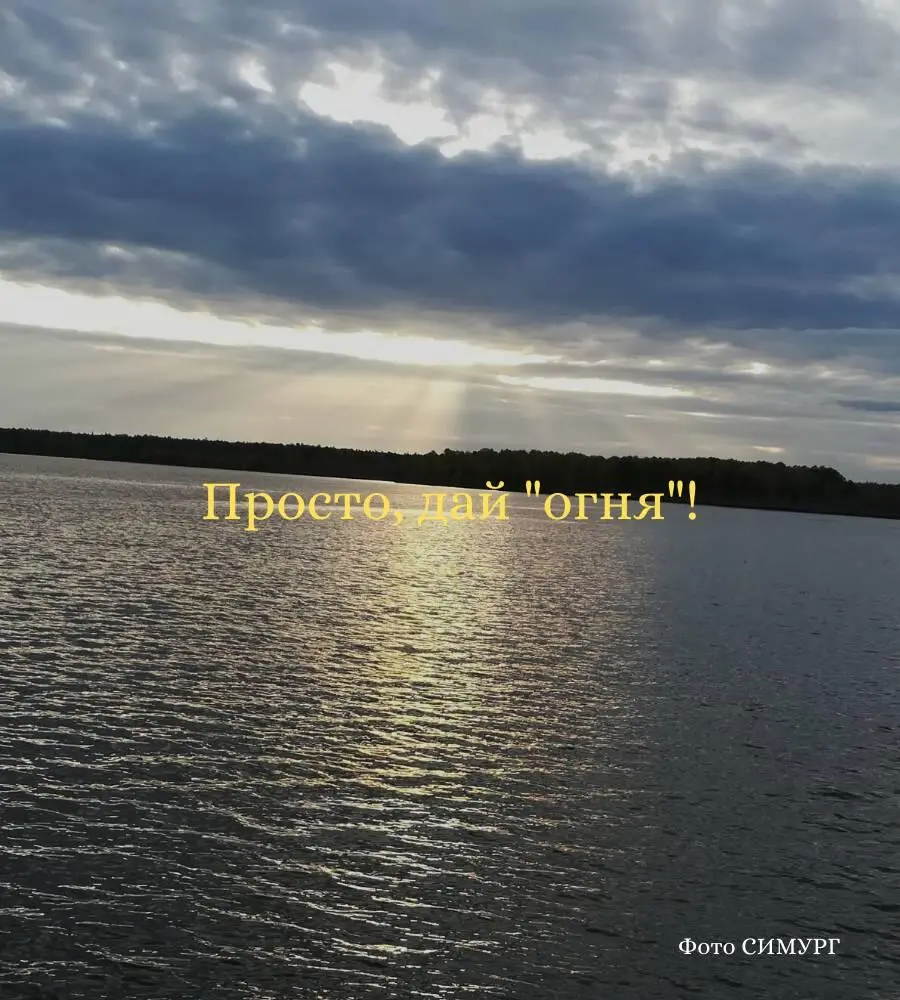 И сосед по твоей территории смело разгуливает снова спросила Старая - фото 2