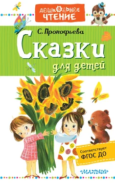 Софья Прокофьева Сказки для детей обложка книги