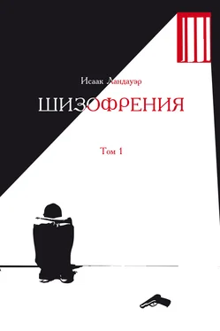 Исаак Ландауэр Шизофрения. Том 1 обложка книги