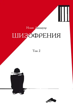 Исаак Ландауэр Шизофрения. Том 2 обложка книги