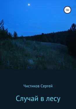 Сергей Чистиков Случай в лесу обложка книги