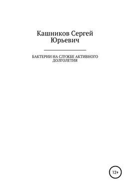 Сергей Кашников Бактерии на службе активного долголетия обложка книги