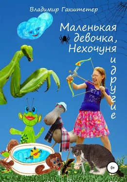 Владимир Гакштетер Маленькая девочка, Нехочуня и другие обложка книги