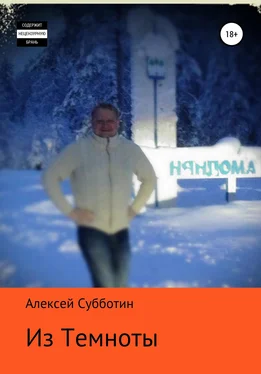 Алексей Субботин Из темноты обложка книги