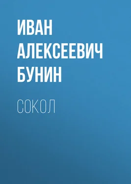 Иван Бунин Сокол обложка книги