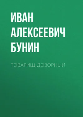 Иван Бунин Товарищ дозорный обложка книги