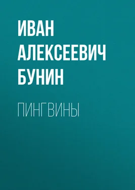 Иван Бунин Пингвины обложка книги