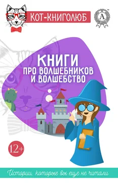 Олег Сешко Книги про волшебников и волшебство обложка книги