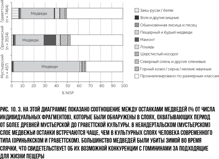 Тогда же когда популяции пещерных медведей начали резко сокращаться плотность - фото 16