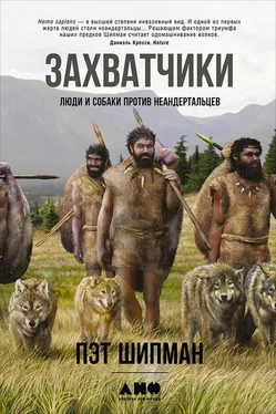 Пэт Шипман Захватчики: Люди и собаки против неандертальцев обложка книги