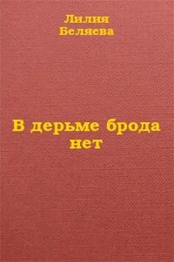 Лилия Беляева В дерьме брода нет обложка книги