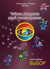 Александр Белый - Тайная Доктрина дней Апокалипсиса. Книга 1. Выбор