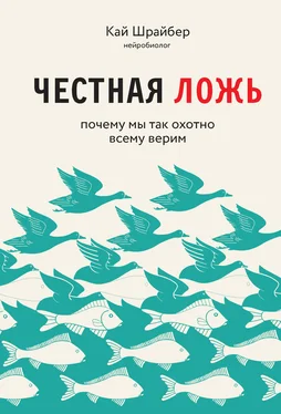 Кай Шрайбер Честная ложь. Почему мы так охотно всему верим обложка книги