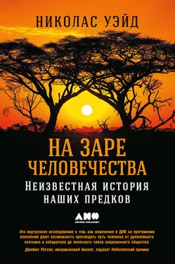 Николас Уэйд На заре человечества: Неизвестная история наших предков обложка книги