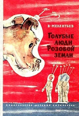 Виталий Мелентьев Голубые люди розовой земли (Рисунки М. Скобелева и А. Елисеева) обложка книги