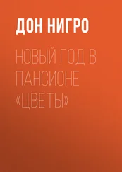 Дон Нигро - Новый год в пансионе «Цветы»
