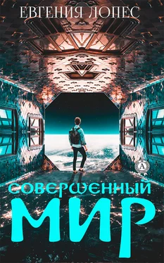 Евгения Лопес Совершенный мир обложка книги