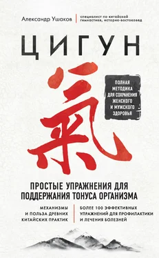 Александр Ушаков Цигун. Простые упражнения для поддержания тонуса организма обложка книги