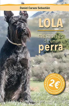 Daniel Carazo Sebastián Lola, memorias de una perra обложка книги