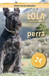 Daniel Carazo Sebastián - Lola, memorias de una perra