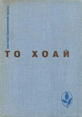 То Хоай Западный край. Рассказы. Сказки обложка книги