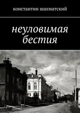 Константин Шахматский Неуловимая бестия обложка книги