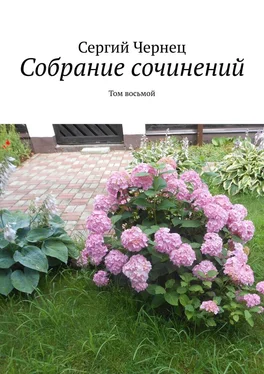 Сергий Чернец Собрание сочинений. Том восьмой обложка книги