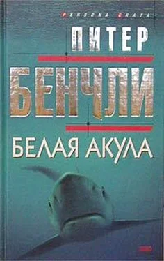 Питер Бенчли Белая акула обложка книги