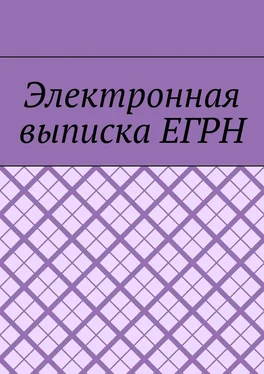 Антон Шадура Электронная выписка ЕГРН обложка книги