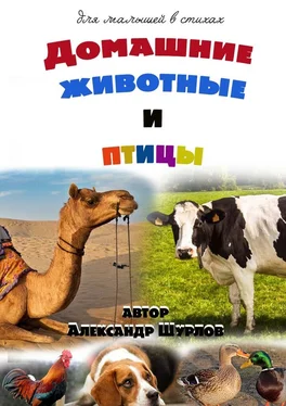 Александр Шурлов Домашние животные и птицы обложка книги