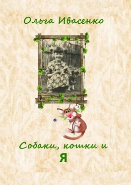 Ольга Ивасенко Собаки, кошки и Я обложка книги