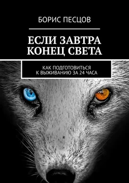 Борис Песцов Если завтра конец света. Как подготовиться к выживанию за 24 часа обложка книги