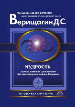 Дмитрий Верищагин Мудрость обложка книги