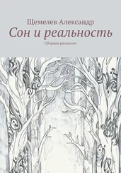 Щемелев Александр - Сон и реальность. Сборник рассказов