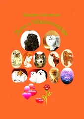 Валерия Снеговская - Лето в Мармеладова