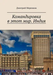 Дмитрий Меренков - Командировка в этот мир. Индия