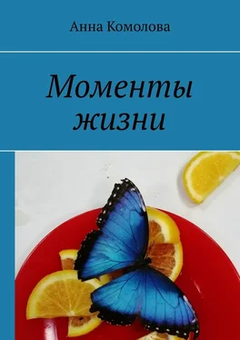 Анна Комолова Моменты жизни обложка книги