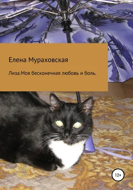 Елена Мураховская Лиза. Моя бесконечная любовь и боль обложка книги