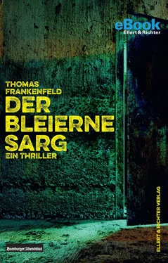 Thomas Frankenfeld Der bleierne Sarg обложка книги
