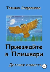 Татьяна Софронова - Приезжайте в Плишкари