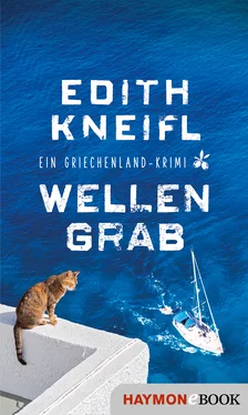 Edith Kneifl Wellengrab обложка книги