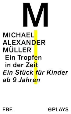 Michael Alexander Müller Ein Tropfen in der Zeit обложка книги