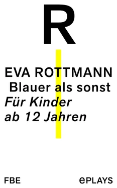 Eva Rottmann Blauer als sonst обложка книги