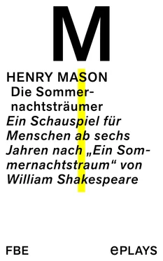 Henry Mason Die Sommernachtsträumer обложка книги