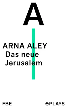 Arna Aley Das neue Jerusalem обложка книги