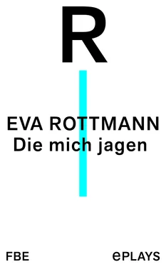 Eva Rottmann Die mich jagen обложка книги